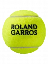 Теннисные мячи Wilson Roland Garros All Court x3 Фото 2