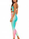 Леггинсы Beach Riot Piper Legging W (Разноцветный) Фото 6